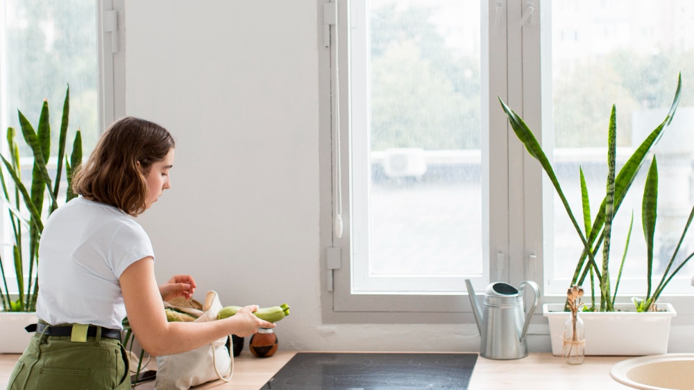 Impact Windows